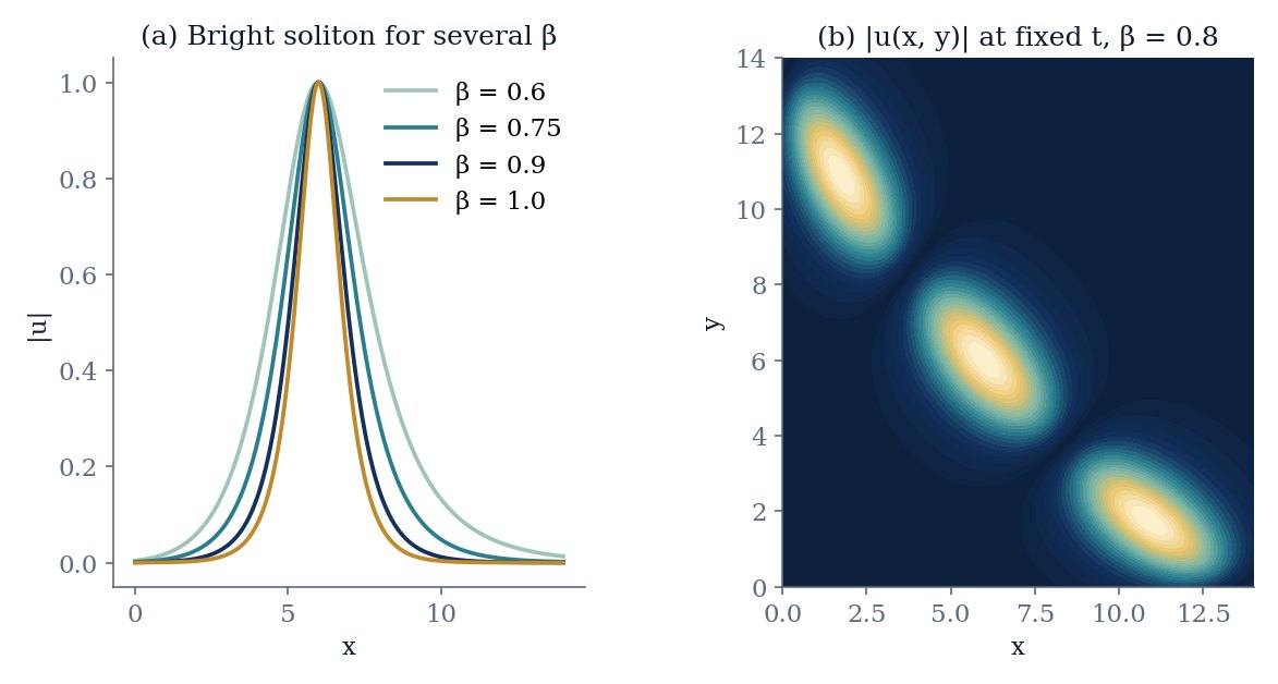 Bright soliton profiles for several beta values and a two-dimensional contour of the solution